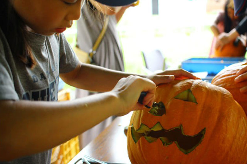 畑で手作り！ハロウィンかぼちゃ体験