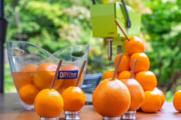 生絞りジュース