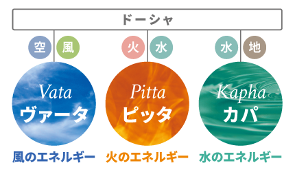 デトックスボディ