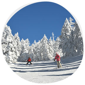 近隣スキー場情報