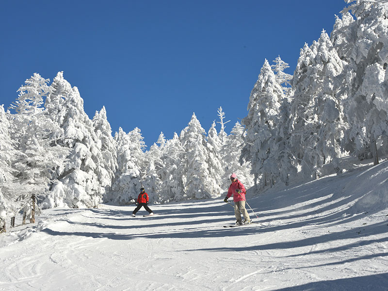 おすすめご宿泊プラン