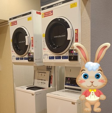 ダミー